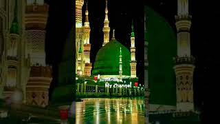 🌹ya rasoole khuda🌹islamicstatusislamicvideo kawwali trendingshorts viralvideo whatsappstatus [upl. by Durward837]