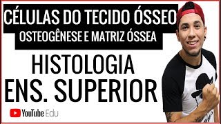 Células do Tecido Ósseo Osteogênese e Matriz Óssea  AULA ENSINO SUPERIOR  Prof Patrick Gomes [upl. by Arriet]