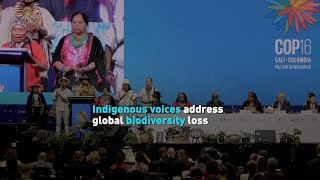 Indigenous voices address global biodiversity loss [upl. by Oslec]