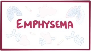 Emphysema chronic obstructive pulmonary disease  centriacinar panacinar paraseptal [upl. by Esidnac598]