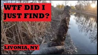 INSANE Magnet Fishing Finds  Pruyne Times Conesus Creek Adventure Pt II – Almost Lost My Magnet [upl. by Viscardi]