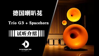 Ultimate Performance of Avantgarde Acoustic Trio G3  SpaceHorn [upl. by Assilla]