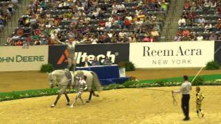 Vaulting Team Freestyle Team France  2010 World Equestrian Games [upl. by Newcomer]