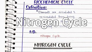 Nitrogen cycle  Nitrogen fixation [upl. by Anirpas]