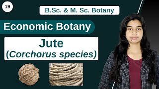 Economic Botany  Jute Corchorus species  B Sc amp M Sc [upl. by Hildegaard]