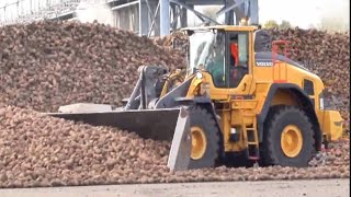 Modern Technology in Sugar Beet Harvesting and Processing [upl. by Arateehc]