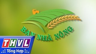 THVL  Bạn nhà nông Mật độ sạ và lượng phân bón trong canh tác lúa [upl. by Nikolas]