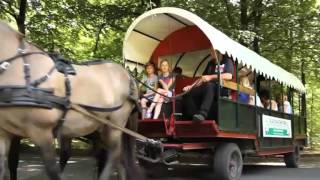 Landal GreenParks  Video Region Drenthe Niederlande [upl. by Oecile138]