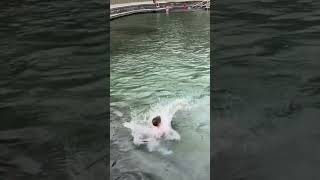 Jumping into Wekiva Springs Florida [upl. by Gable]