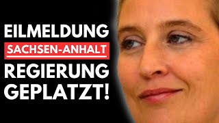 🚨EILMELDUNG REGIERUNG IN SACHSENANHALT GEPLATZT AfD LÄSST ALTPARTEIEN AUFFLIEGEN🚨 [upl. by Sucirdor]