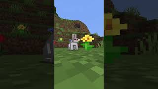 El conejo asesino de Minecraft minecraft shorts [upl. by Sel908]