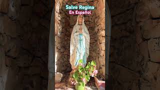 Salve Regina en español virgenmaria catolicos avemaria amigosdedios [upl. by Vassili]