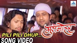 Pili Pili Dhup Picnic  Gulmohar  Superhit Marathi Fun Songs  Roop Kumar Rathod Sonali Kulkarni [upl. by Ilise]