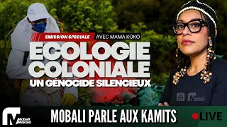 ECOLOGIE COLONIALE AVEC MAMA KOKO [upl. by Amuwkuhc]