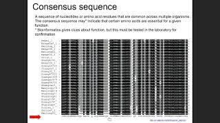 Homologs Orthologs Paralogs AminoacidSubstitutionMatrices [upl. by Pantia]