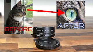 5 Tips for Nikon Macro Photography  Meike Macro Extension Tubes Review for Nikon Z [upl. by Zeculon]