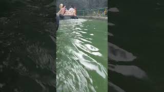 HIMACHAL PRADESH  MANALI  GARDEN  PADDLE BOATING  shortvideo  viralvideo  trending [upl. by Eihctir]