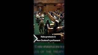 Haka protests in New Zealand’s parliament [upl. by Billy]