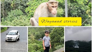 Thamarassery churamviews of wayanad passKerala tourism wayanad [upl. by Kinzer207]