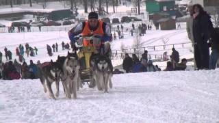 Schlittenhunderennen Inzell 2015 [upl. by De]