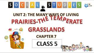 Prairies  The Temperate Grasslands class 5  fully expained in hindi  class 5 Social Studies [upl. by Tuinenga343]