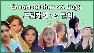 dreamcatcher vs bugs 1  드림캐쳐 vs 벌레 🦟 [upl. by Nicolea]