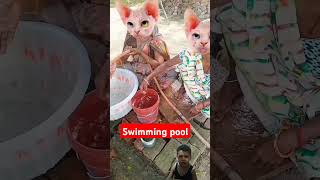 Swimming pool Bane hue Ho cat cute [upl. by Rednav]