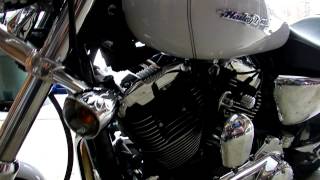 2005 HARLEY DAVIDSON SPORTSTER XL 1200 CUSTOM G 003MOV [upl. by Holmun740]