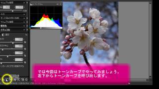 Developing a RAW file with SILKYPIX Pro 40 [upl. by Conger295]