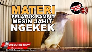 1 🔴Masteran Cucak Jenggot Isian Pelatuk Sampit Mesin Jahit Sangat Mewah❗️AUDIO JERNIH [upl. by Anauqal]