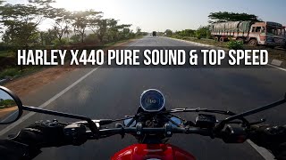 Harley Davidson X440 Pure Riding Sound amp Top Speed [upl. by Euqinehs349]