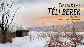 Fekete István Téli berek [upl. by Mcgurn]