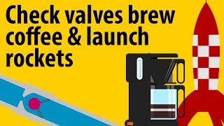 How Check Valves Brew Coffee And Launch Rockets  Check Valves Explained [upl. by Smallman]