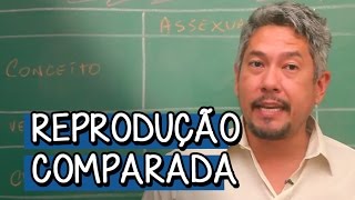 O que é Reprodução Comparada  Extensivo Biologia  Descomplica [upl. by Simetra]