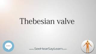 Thebesian valve Anatomy Named After People 🔊 [upl. by Artimed]