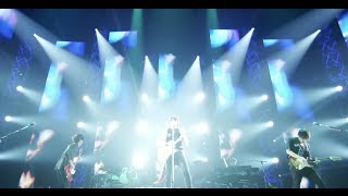 flumpool 「強く儚く」 from 5th Anniversary Special Live at 日本武道館 [upl. by Catrina]