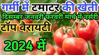 गर्मी में टमाटर की खेती garmi tamater kheti tomato farming December January February ashutosh ansal [upl. by Munroe632]