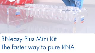 RNeasy Plus Mini Kit – the faster way to pure RNA [upl. by Shell]