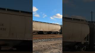 Gainesville Ga Norfolk Southern Grain Train building  part 2 [upl. by Graff]