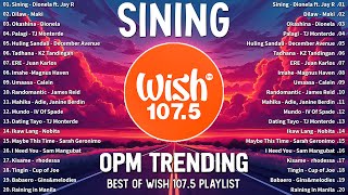 Top Trending OPM Tagalog Love Songs 2024 💕 New Sweet OPM Love Songs 2024 [upl. by Leehar312]