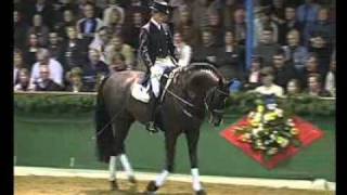 Stedinger  Elite Stallions [upl. by Herb]