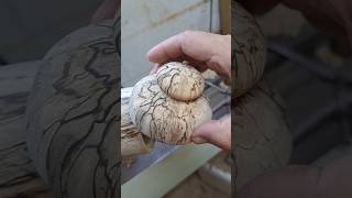 MY SECRET TO SPALTING WOOD diy woodworking howto [upl. by Palocz]