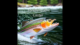 Forellenzucht Caster [upl. by Netsirhk680]