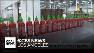 Sriracha production is halted until after Labor Day [upl. by Weyermann]