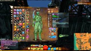 Guild Wars 2 Waldläufer Langbogen Guide [upl. by Ynnaej42]