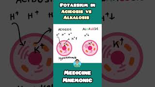 Potassium levels in Acidosis vs Alkalosis  Hypokalemia vs Hyperkalemia NEET PGNCLEX INICETUSMLE [upl. by Lenox]