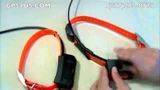 Garmin TT10 and DC40 Dog Tracking Collars Comparison [upl. by Dirgni319]