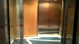 Freedom Of The Seas Glass Elevators [upl. by Ydnak]