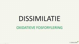 Dissimilatie  oxidatieve fosforylering [upl. by Dlareg]