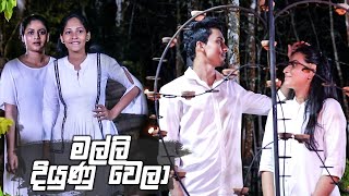 මල්ලි දියුණු වෙලා  Salena Nuwan [upl. by Yatnahc]